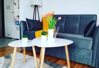 STUDIO 33 Luxury&Spa has rooms with a private hot tub