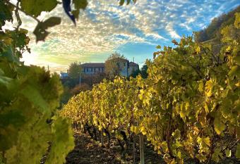 Pian Del Duca has Balcony rooms