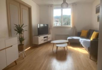 Bel appartement deux pas du lac de G  rardmer allows 18 year olds to book a room