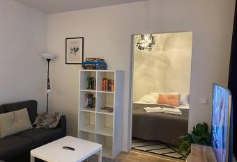 Entire flat downtown with sauna & garage space has Balcony rooms
