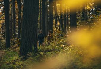 North Shore Camping Company has Balcony rooms