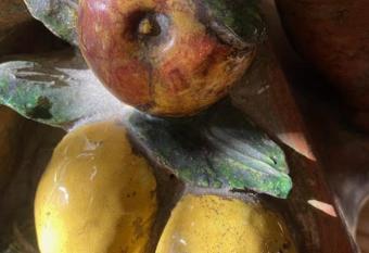 Citronnier allows 18 year olds to book a room