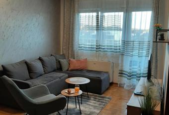 Apartman Milic Pirot-Zapadni Kej 10 has Balcony rooms
