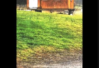 Sun and Star Cabins has Balcony rooms