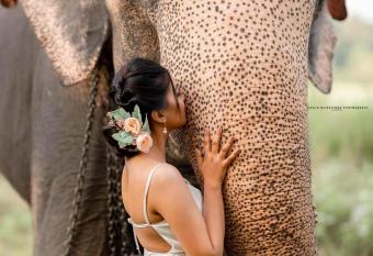 Elephant Safari Logde has Balcony rooms