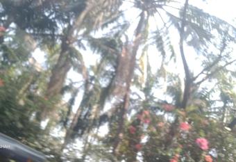 ROYAL PALMS VILLA has Balcony rooms