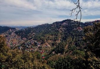 A1 B&B shimla allows 18 year olds to book a room