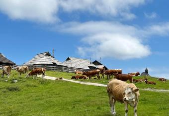 Chalet Korosica Velika Planina has Balcony rooms