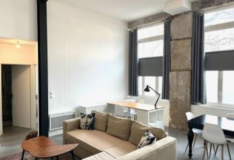   Le Badouill  re   Spacieux appartement central allows 18 year olds to book a room