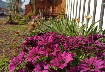 Adrasan ravza bungalow has Balcony rooms