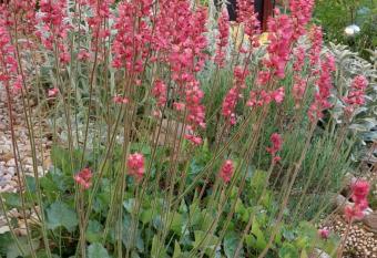Ferienwohnung zur Saaleaue has Balcony rooms
