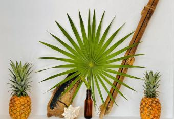 Casa Erizo Mahahual - Adults Only allows 18 year olds to book a room