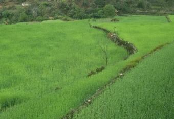 Hamesha Home Stay has Smoking/Balcony rooms