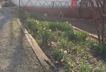 Grays fishing and hunting rental has Balcony rooms