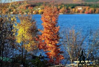 Chalet Hillside Farmhouse has Balcony rooms