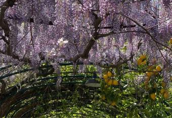 Suite 1744 allows 18 year olds to book a room