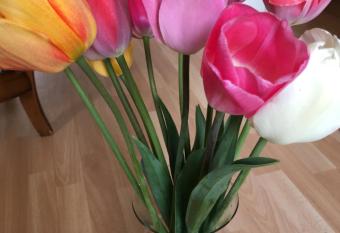 Aris-Chris waldshut allows 18 year olds to book a room