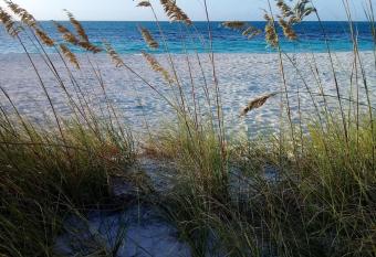 Private Guest House 2 bedrooms & 2 baths near Grace Bay Beach & Long Bay Beach. allows 18 year olds to book a room