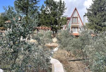 Oliveraie en pleine nature - Adrasan ANTALYA has Balcony rooms