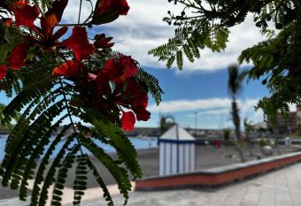 Magnificent and New apartment in Playa San Juan allows 18 year olds to book a room