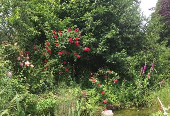 Ferienhaus La Meu has Balcony rooms