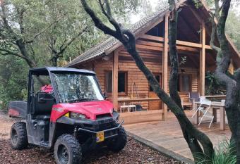               -                                                    -                                                             allows 18 year olds to book a room