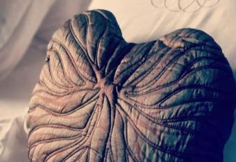 LE LIT DE LA SEMOY Chassepierre allows 18 year olds to book a room