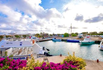 Het paradijs in Jan Thiel! allows 18 year olds to book a room