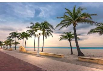 Enjoy our brand new home close to Hollywood in Hallandale Beach! allows 18 year olds to book a room