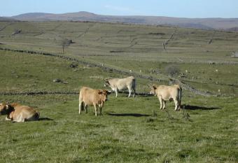 Plateau de l Aubrac has Balcony rooms