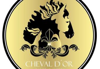 Exklusive Galerie-Suiten allows 18 year olds to book a room