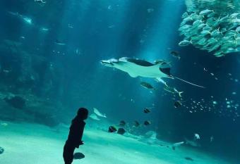 Rte du Portel allows 18 year olds to book a room