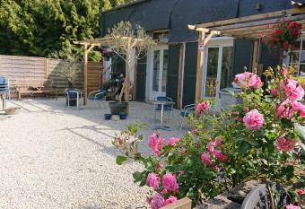 Le Black Dog Pub allows 18 year olds to book a room