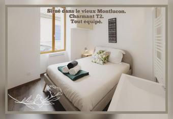 charmant deux pi  ces dans le vieux Montlu  on allows 18 year olds to book a room