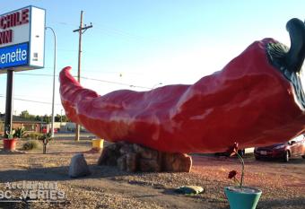 Big Chile Inn & Suites allows 18 year olds to book a room