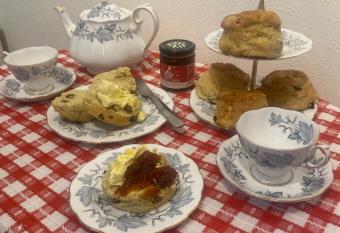 Peaceful Coastal Apartment has Balcony rooms