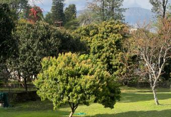 B-Town Serviced apartments has Smoking rooms