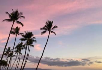 Live da HI life--great beach and great views! has rooms with a private hot tub