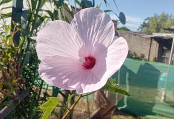 Kapawavira allows 18 year olds to book a room