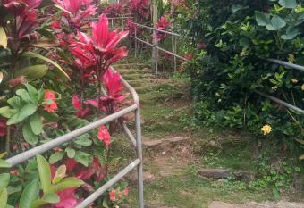 Natural guest house has Balcony rooms