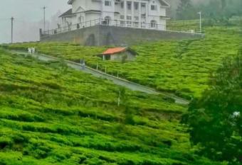 Misty Valley Resort has Balcony rooms