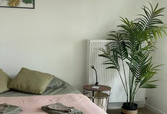 Studio T    5mn euro airport avec terrasse allows 18 year olds to book a room