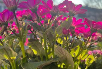 Mediterrane Ferien Villa Casa Amalfitana has Balcony rooms