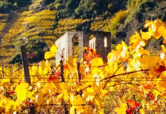 Ferienhaus Scheid has Balcony rooms