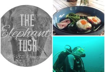 The Elephants Tusk B&B allows 18 year olds to book a room