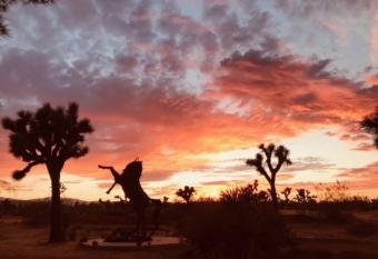 Joshua Tree, Yucca Valley - Stargazing Bed, Hot Tub, Fire, 5 Acres of Private Nature has rooms with a private hot tub