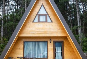 Catunul din Podei A-Frame has Balcony rooms
