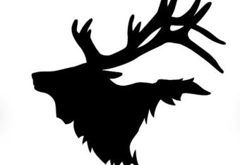 Elker Inn & Suites allows 18 year olds to book a room