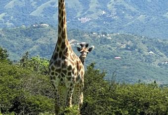 Phezulu Hilltop has rooms with a private hot tub