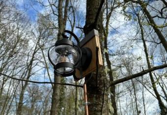 Kota avec bain nordique, sauna et piscine has rooms with a private hot tub